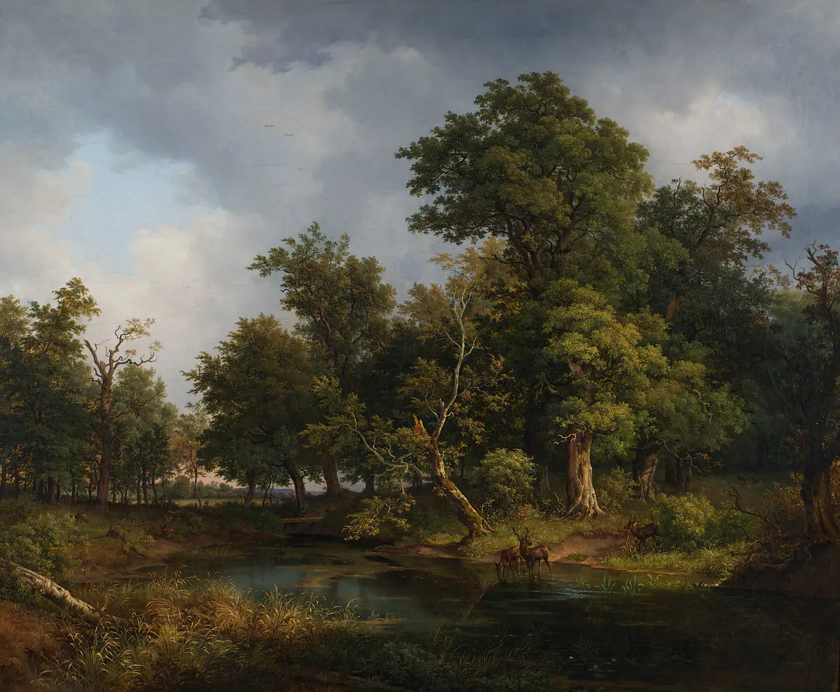 Paysage forestier - Joseph Feid