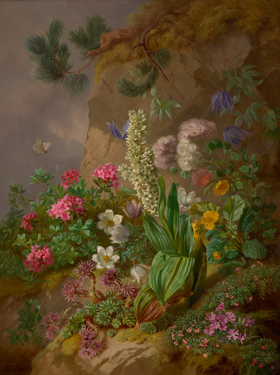 Fleurs alpines - Joseph Schuster