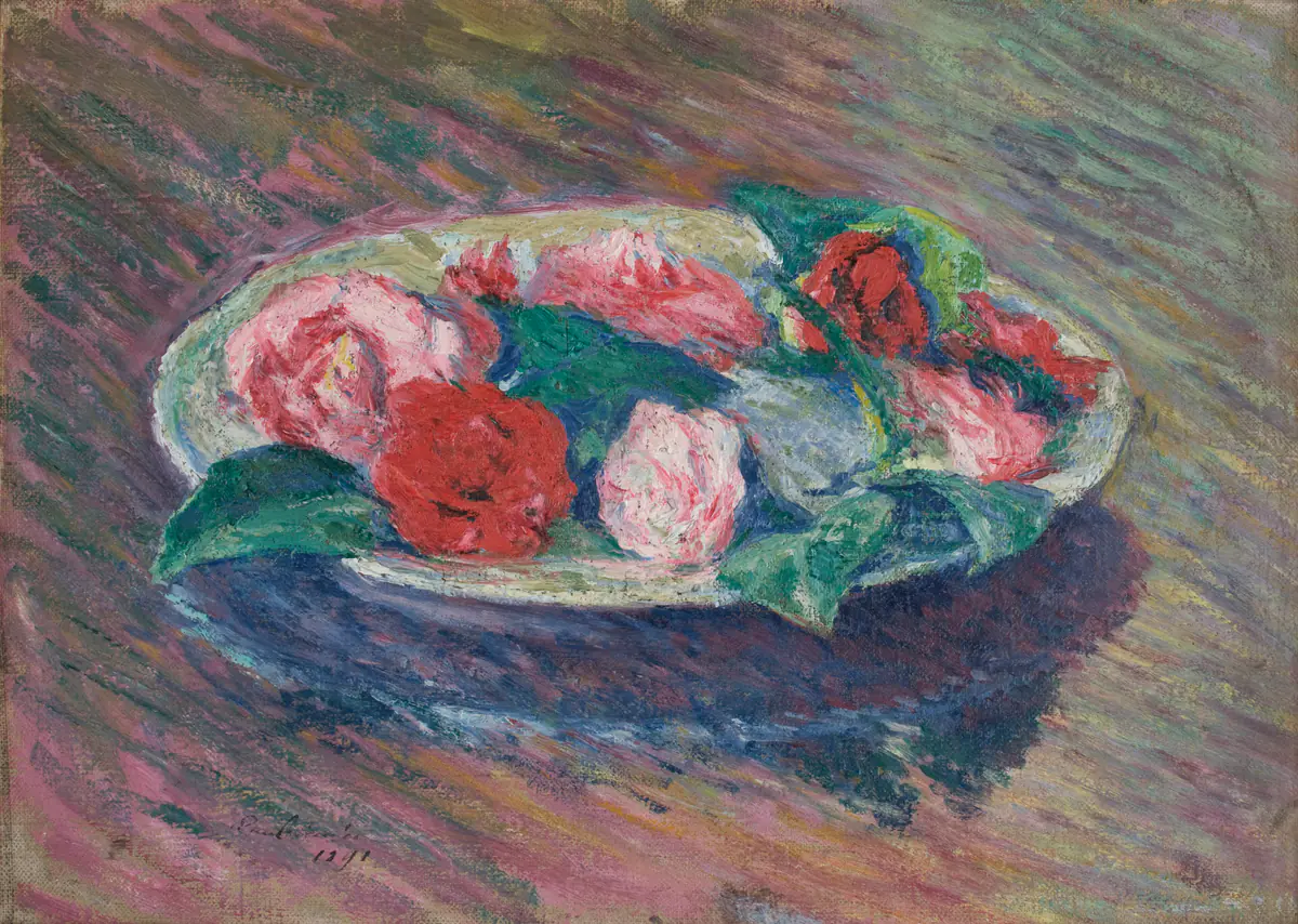 Camélias dans un bol - Józef Pankiewicz
