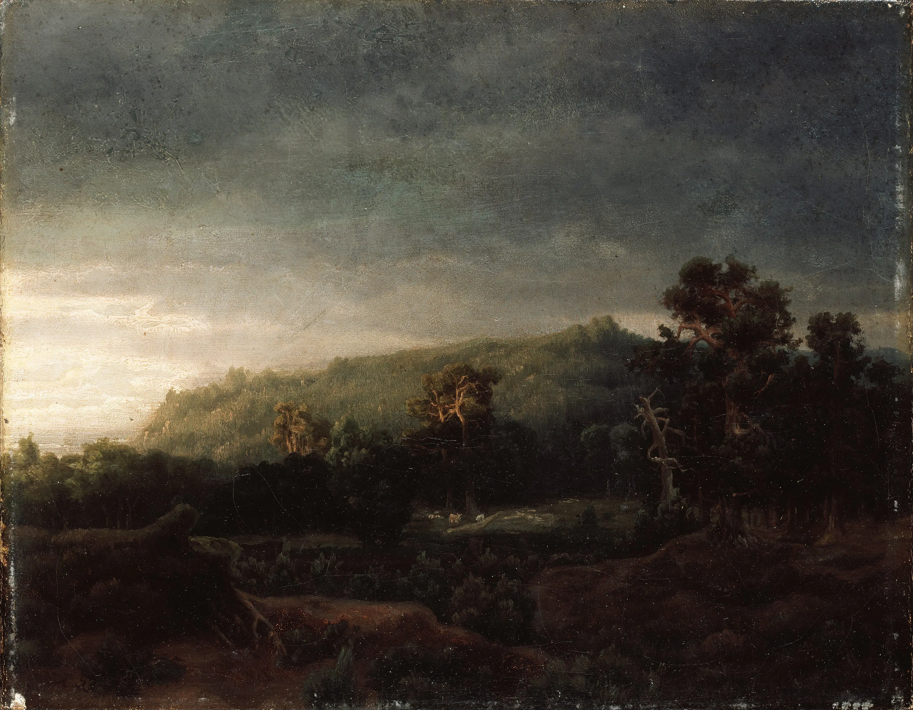 Une forêt - Lars Hertervig