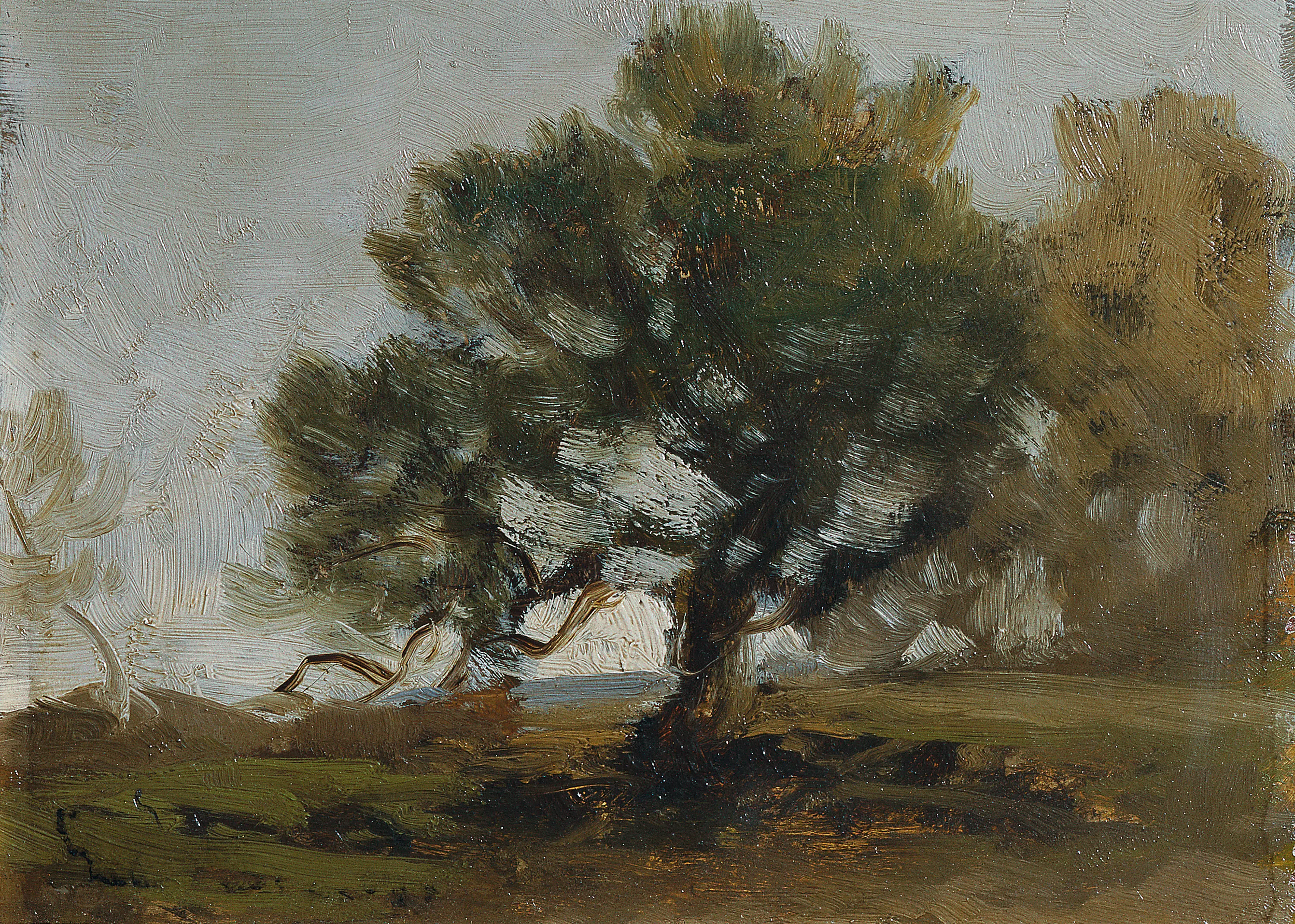 Paysage - Ludwig Willroider
