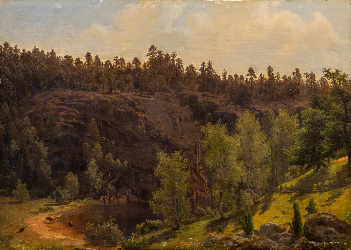 Mare ensoleillée dans les bois - Marcus Larson