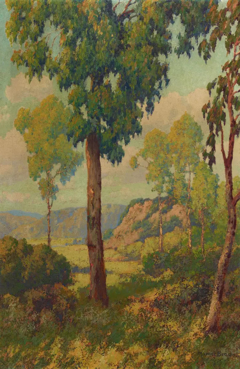 L’eucalyptus - Maurice Braun