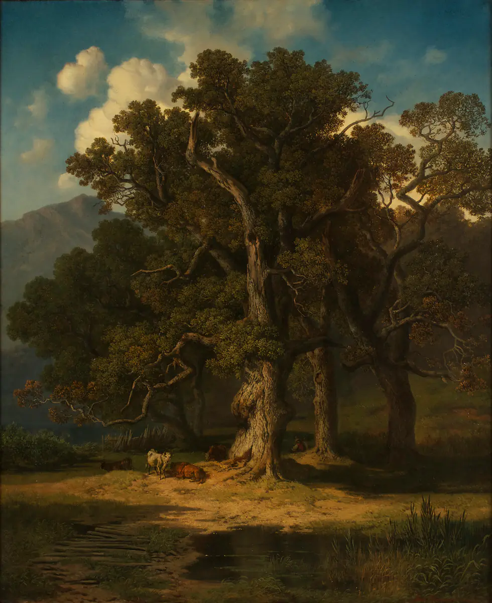 Paysage forestier - Max Zimmermann