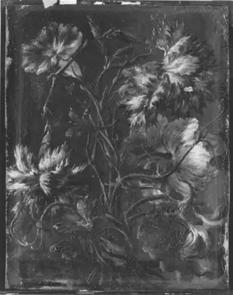 Bouquet de fleurs - N. Altzner