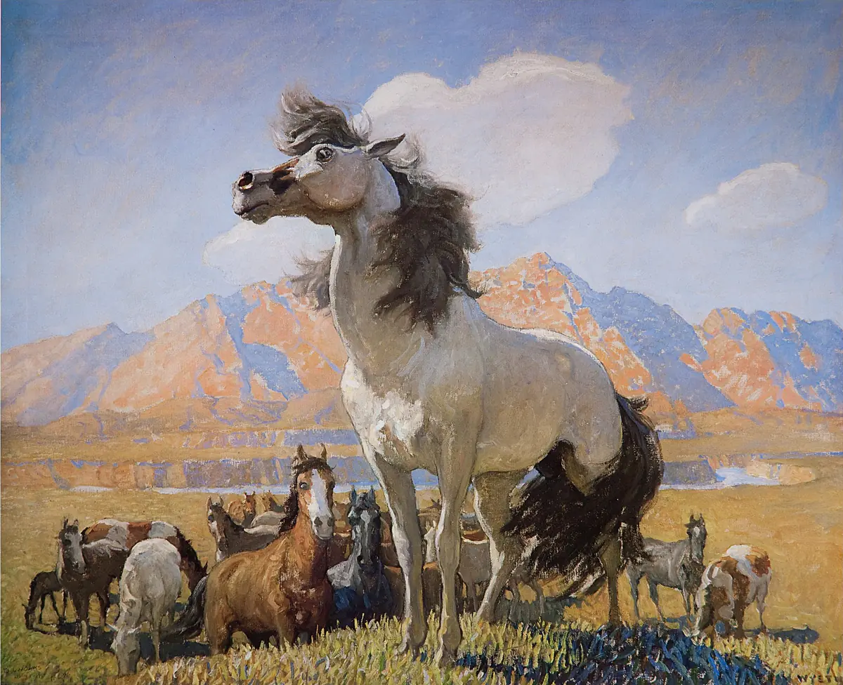 Visage enfumé - N. C. Wyeth