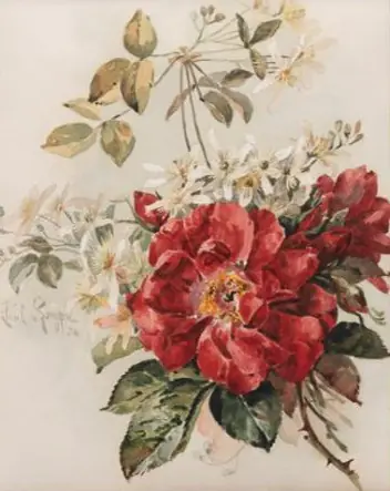 Roses Ragged Robin - Paul de Longpré