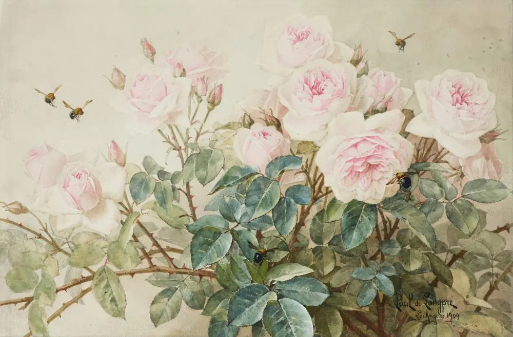 Roses roses — Composition horizontale - Paul de Longpré