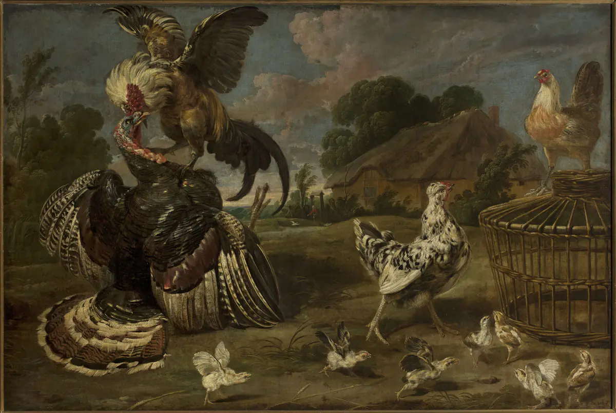 Une dinde et un coq - Paul de Vos