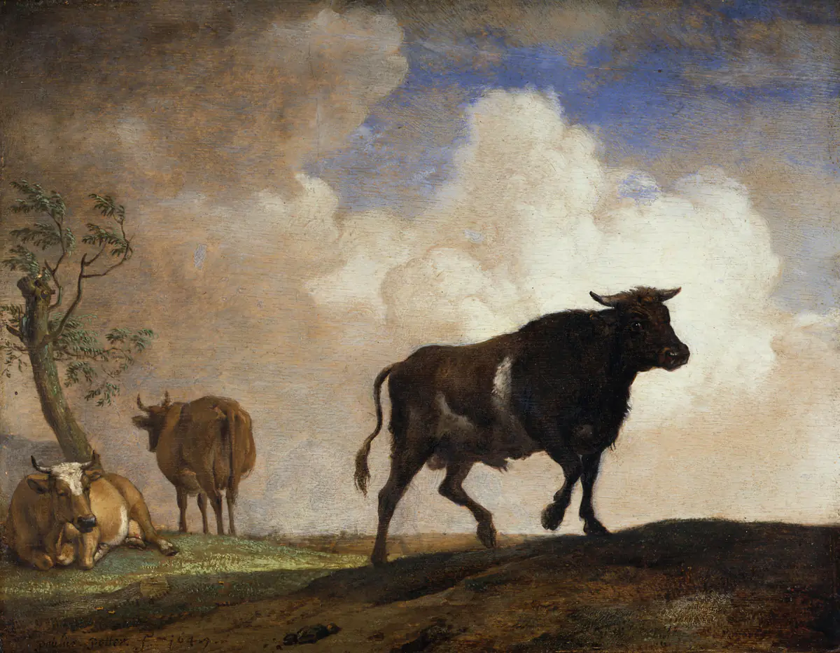 Le bœuf - Paulus Potter