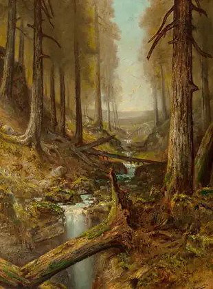 Intérieur de forêt - Ralph Albert Blakelock