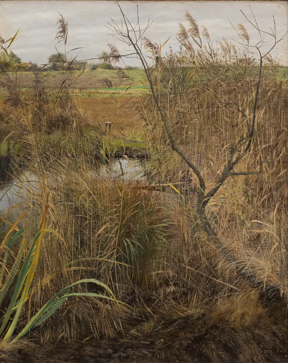 L'automne dans la tourbière - L. A. Ring