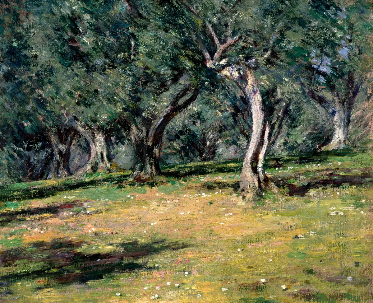 Oliveraie à Capri - Theodore Robinson
