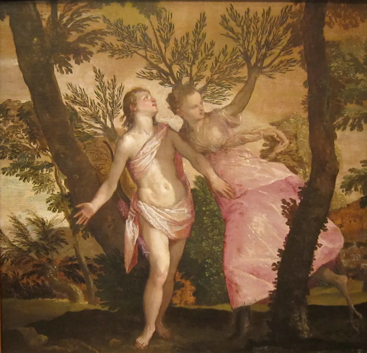 Apollon et Daphné - Véronèse
