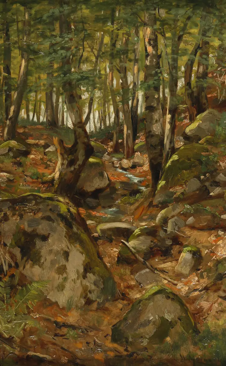 Chemin forestier - Walter Moras