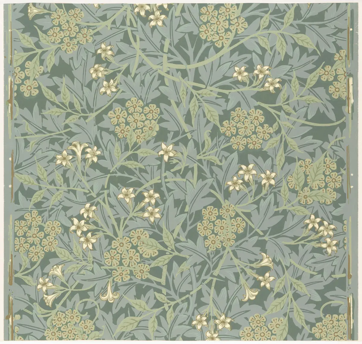 Jasmin — Jasmine - William Morris