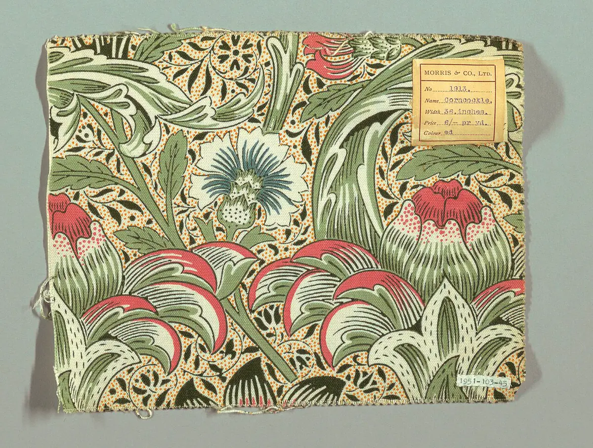 Nielle des blés — Corncockle - William Morris