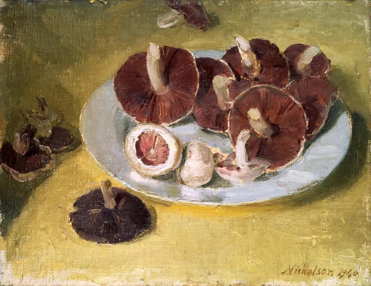 Champignons - William Nicholson