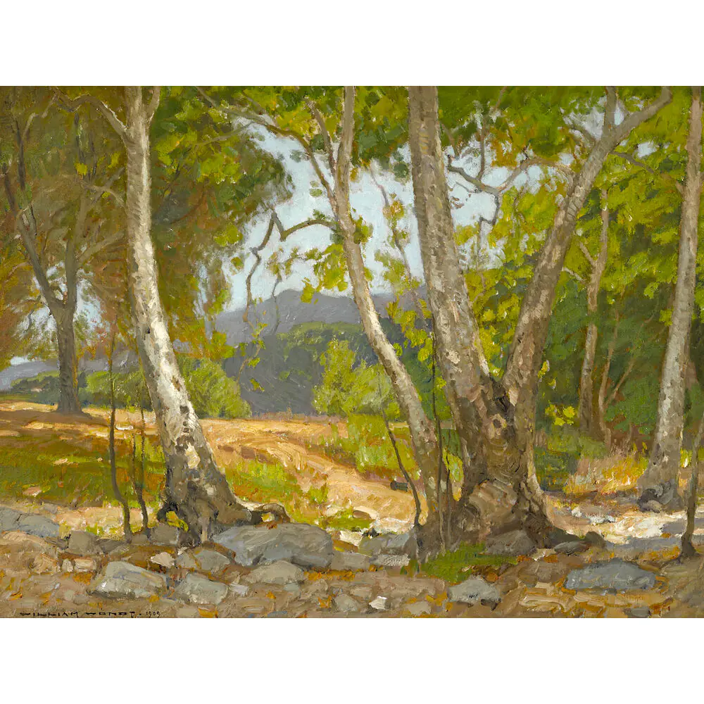Canyon ombragé - William Wendt