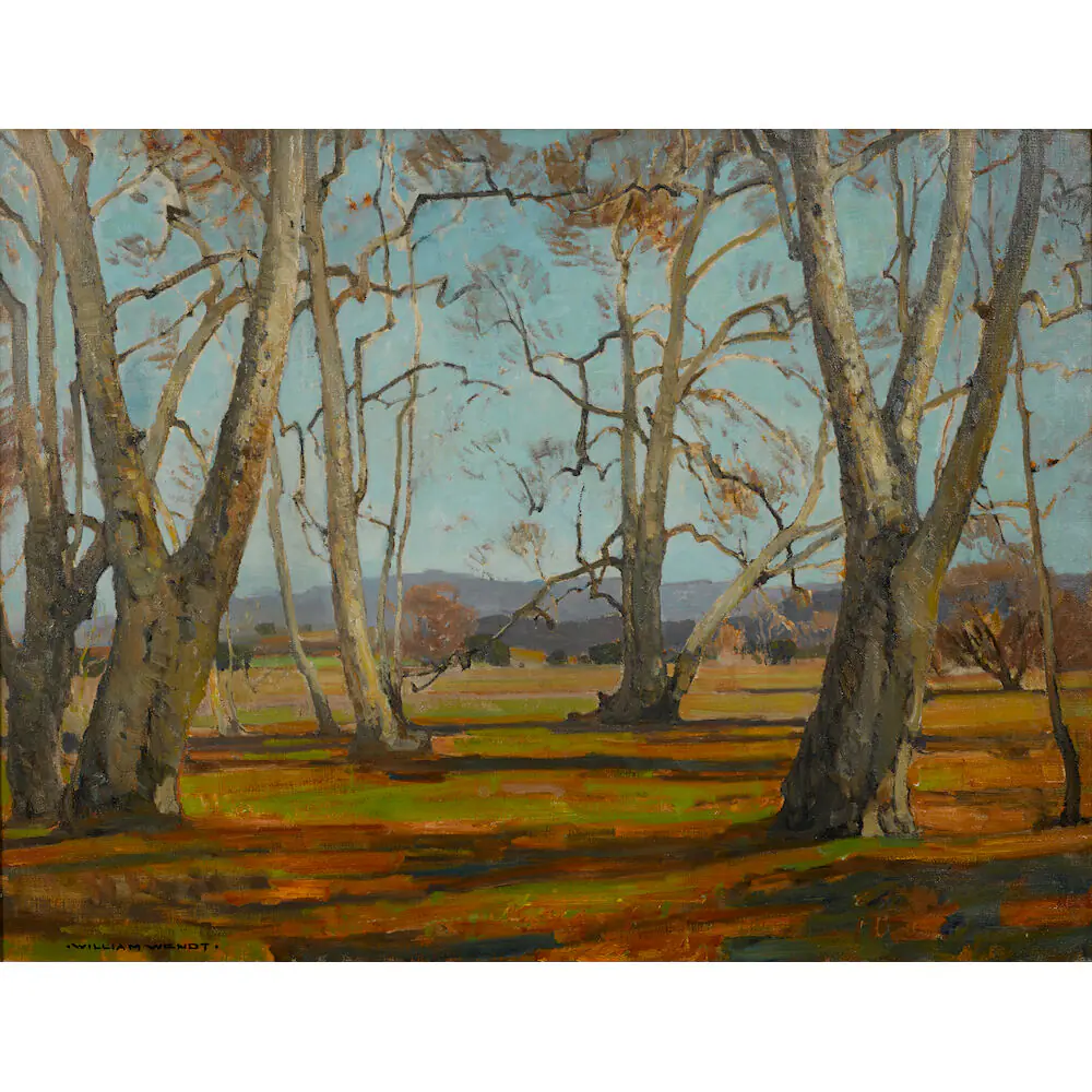 Sycomores - William Wendt